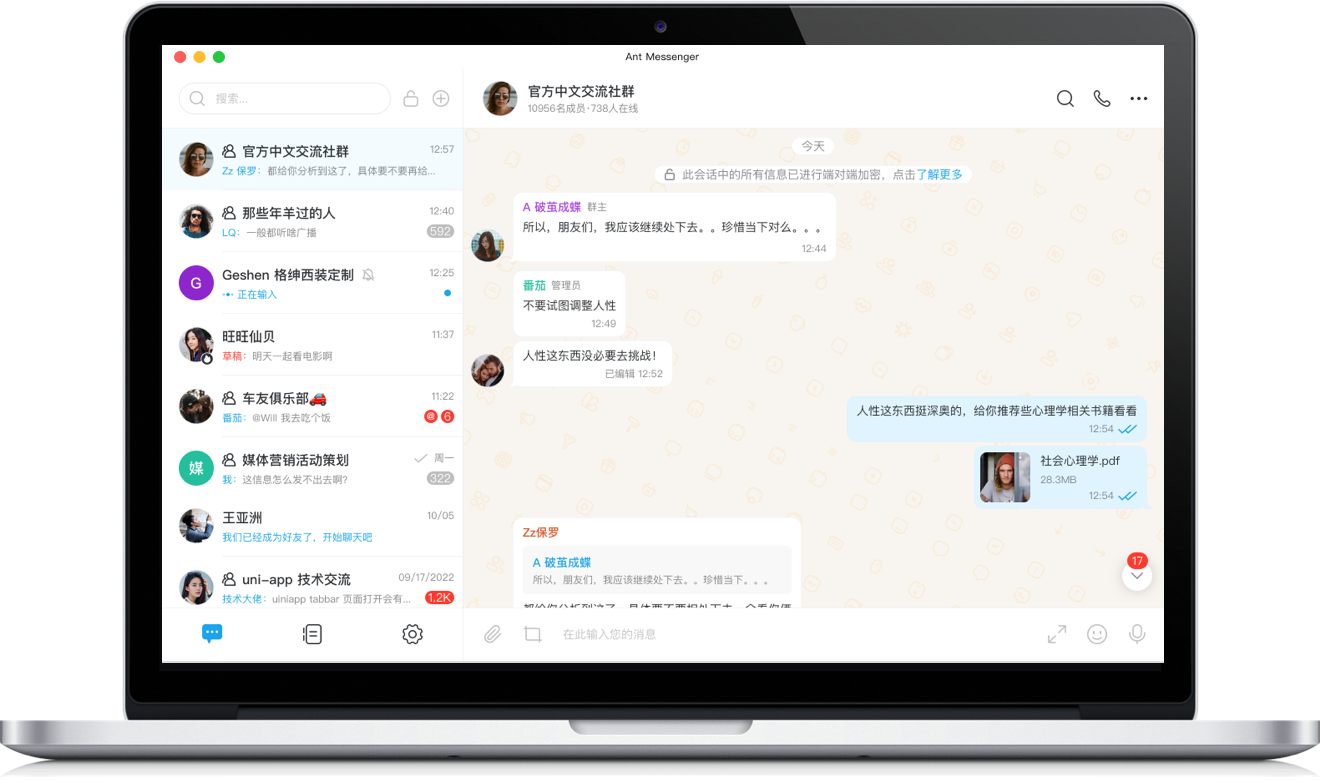 Ant电脑版聊天主界面